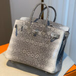 Hermes Birkin 25 Ombre Lizard Palladium Hardware Cream