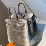 Hermes Birkin 25 Ombre Lizard Palladium Hardware Cream