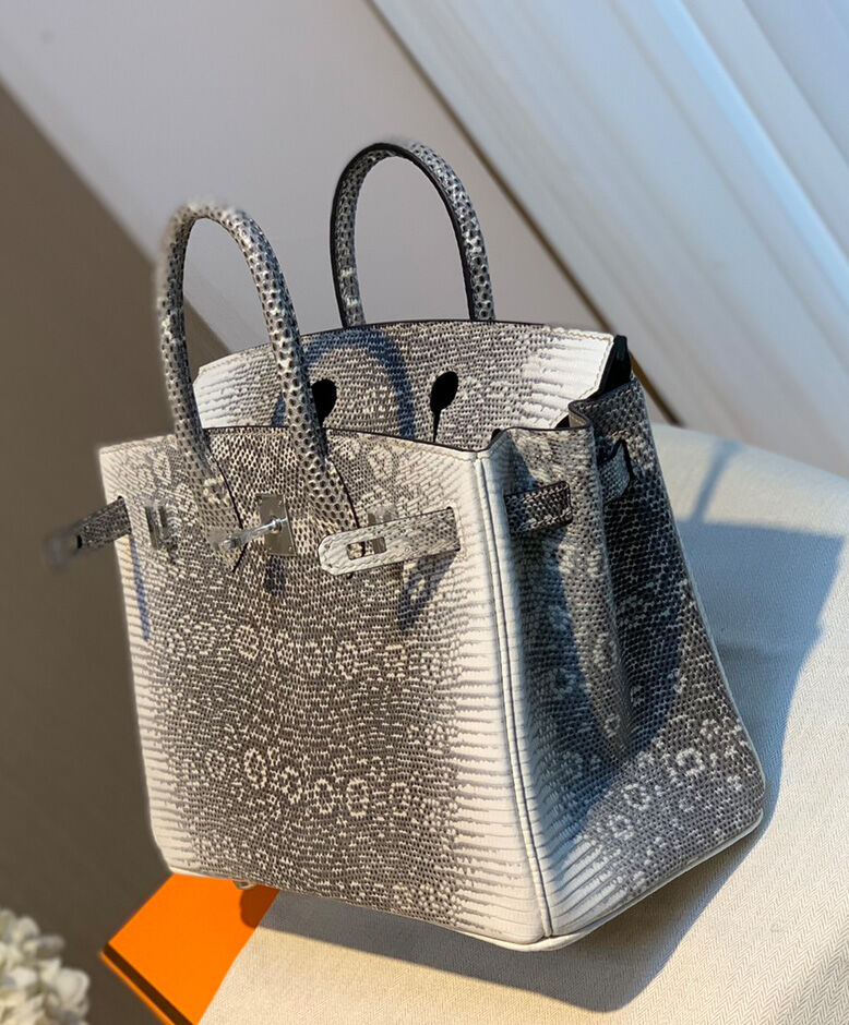 Hermes Birkin 25 Ombre Lizard Palladium Hardware Cream