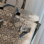 Hermes Birkin 25 Ombre Lizard Palladium Hardware Cream