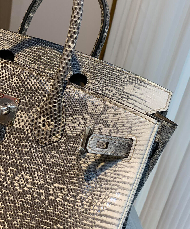 Hermes Birkin 25 Ombre Lizard Palladium Hardware Cream