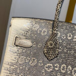 Hermes Birkin 25 Ombre Lizard Palladium Hardware Cream