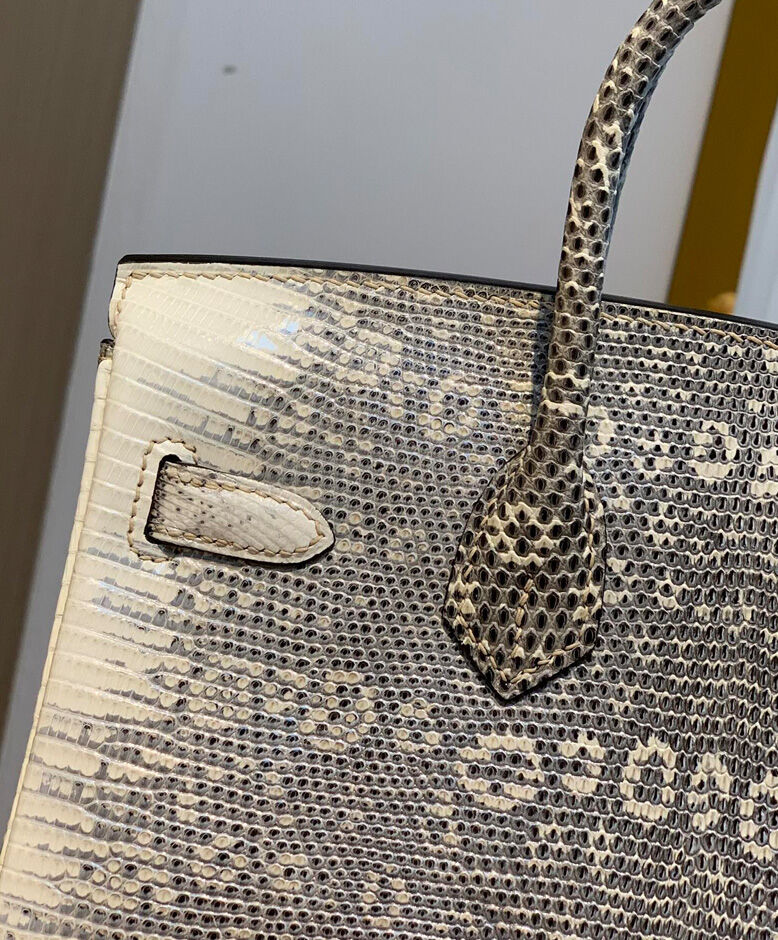 Hermes Birkin 25 Ombre Lizard Palladium Hardware Cream