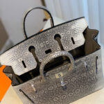 Hermes Birkin 25 Ombre Lizard Palladium Hardware Cream