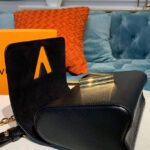 Louis Vuitton Twist PM M54278