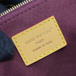Louis Vuitton CarryAll BB M13014 Brown