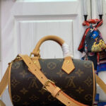 Louis Vuitton Nano Speedy Dating M13226 Brown