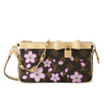 LV X TM Pochette Accessoires M13666 Brown
