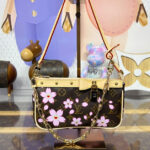 LV X TM Pochette Accessoires M13666 Brown