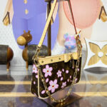 LV X TM Pochette Accessoires M13666 Brown
