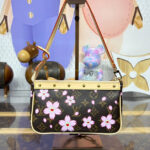 LV X TM Pochette Accessoires M13666 Brown