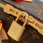 Louis Vuitton LV X TM Speedy Bandouliere 20 M14175 Brown