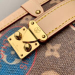 Louis Vuitton Side Trunk MM M47085 Brown