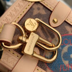 Louis Vuitton Side Trunk MM M47085 Brown