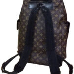 Louis Vuitton Christopher PM M43735 Black