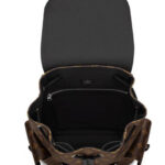 Louis Vuitton Christopher PM M43735 Black