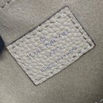 Louis Vuitton Baia PM M22819 M22820