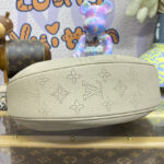 Louis Vuitton Baia PM M22819 M22820
