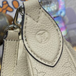Louis Vuitton Baia PM M22819 M22820